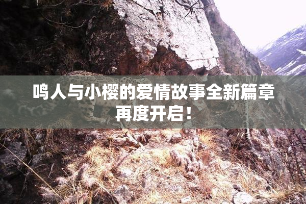 鸣人与小樱的爱情故事全新篇章再度开启！