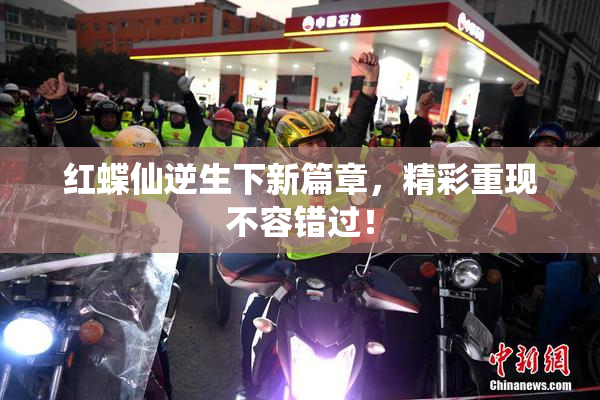 红蝶仙逆生下新篇章，精彩重现不容错过！