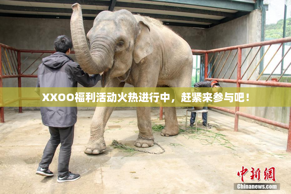 XXOO福利活动火热进行中，赶紧来参与吧！
