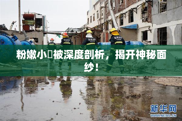 粉嫩小泬被深度剖析，揭开神秘面纱！