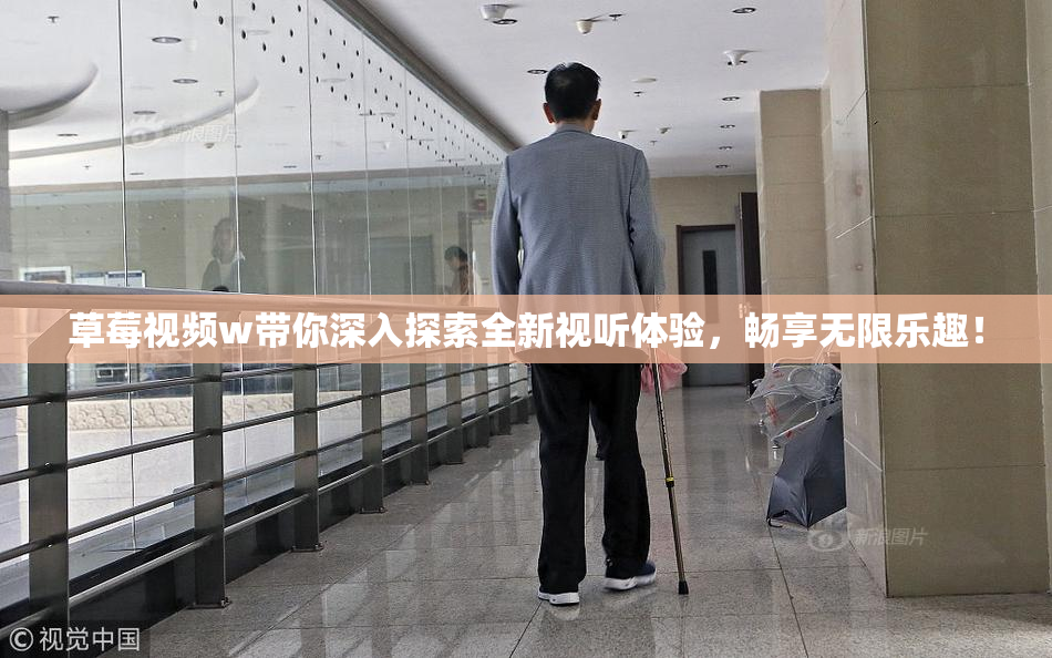 草莓视频w带你深入探索全新视听体验，畅享无限乐趣！
