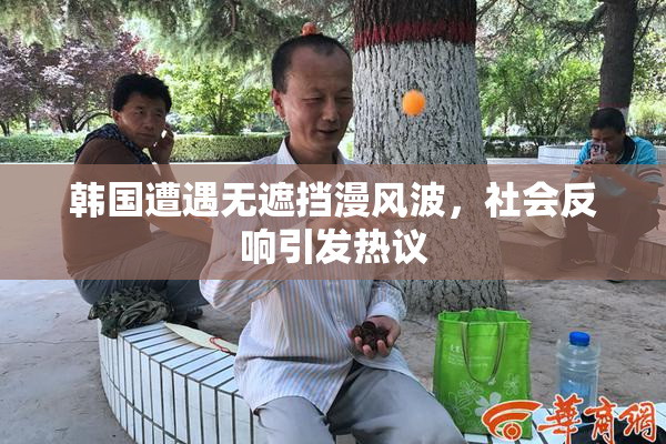 韩国遭遇无遮挡漫风波，社会反响引发热议