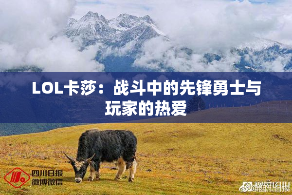 LOL卡莎：战斗中的先锋勇士与玩家的热爱