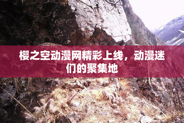 樱之空动漫网精彩上线，动漫迷们的聚集地