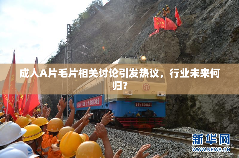 成人A片毛片相关讨论引发热议，行业未来何归？