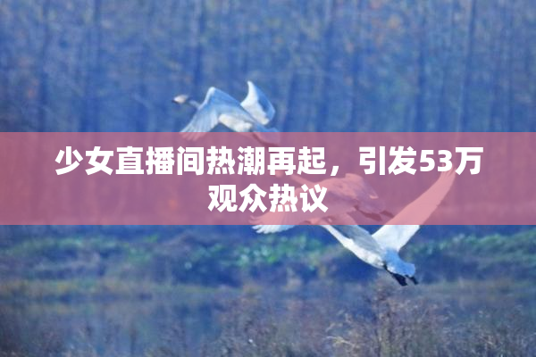 少女直播间热潮再起，引发53万观众热议