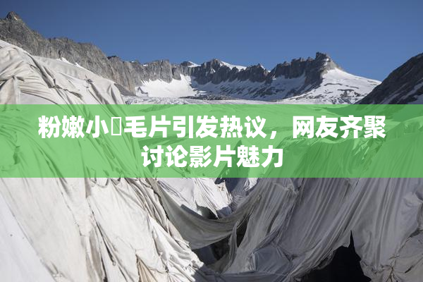 粉嫩小泬毛片引发热议，网友齐聚讨论影片魅力