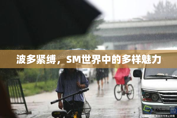 波多紧缚，SM世界中的多样魅力