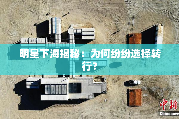 明星下海揭秘：为何纷纷选择转行？