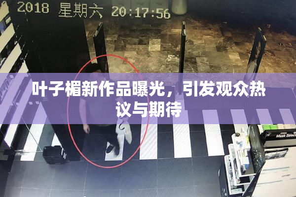 叶子楣新作品曝光，引发观众热议与期待