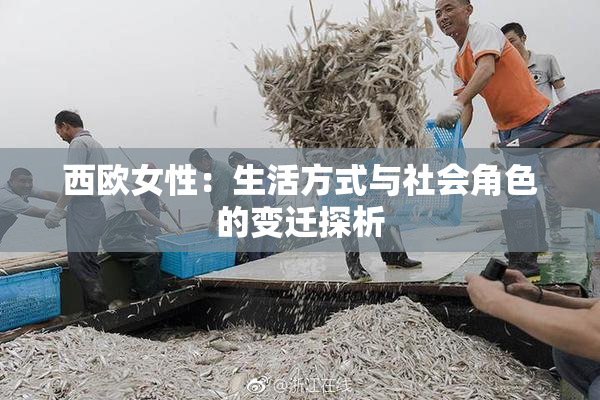 西欧女性：生活方式与社会角色的变迁探析