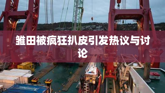 雏田被疯狂扒皮引发热议与讨论