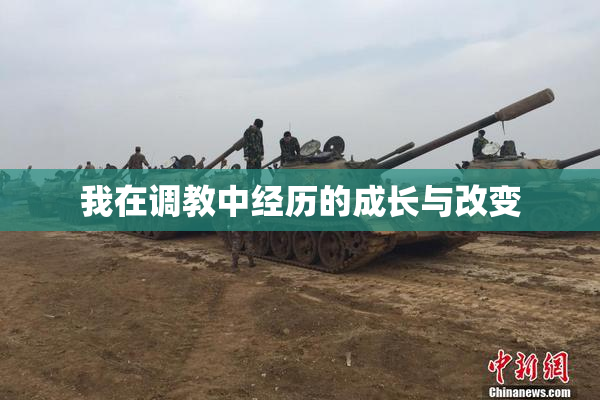 我在调教中经历的成长与改变