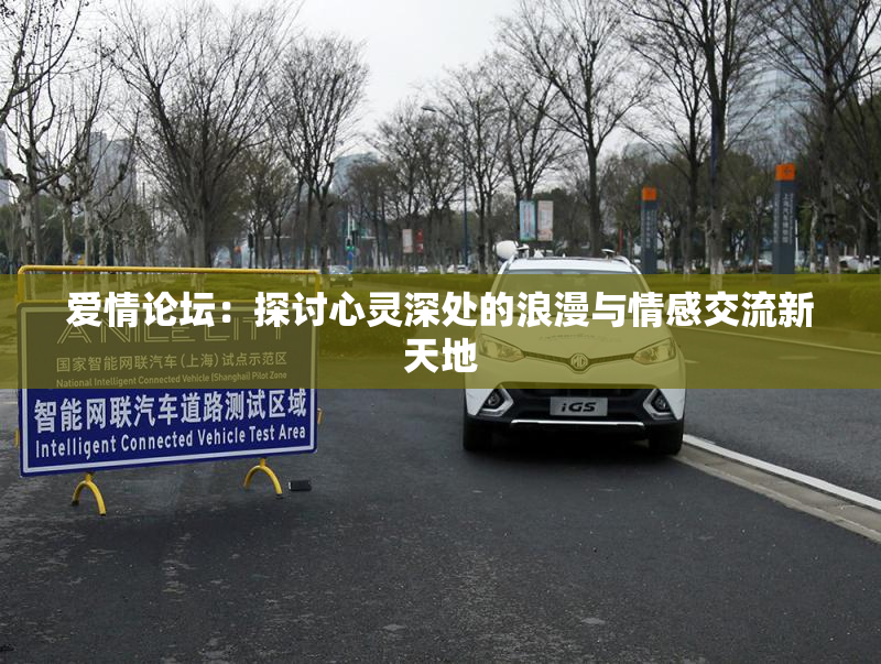 爱情论坛：探讨心灵深处的浪漫与情感交流新天地