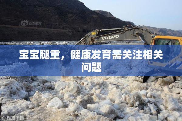 宝宝腿重，健康发育需关注相关问题
