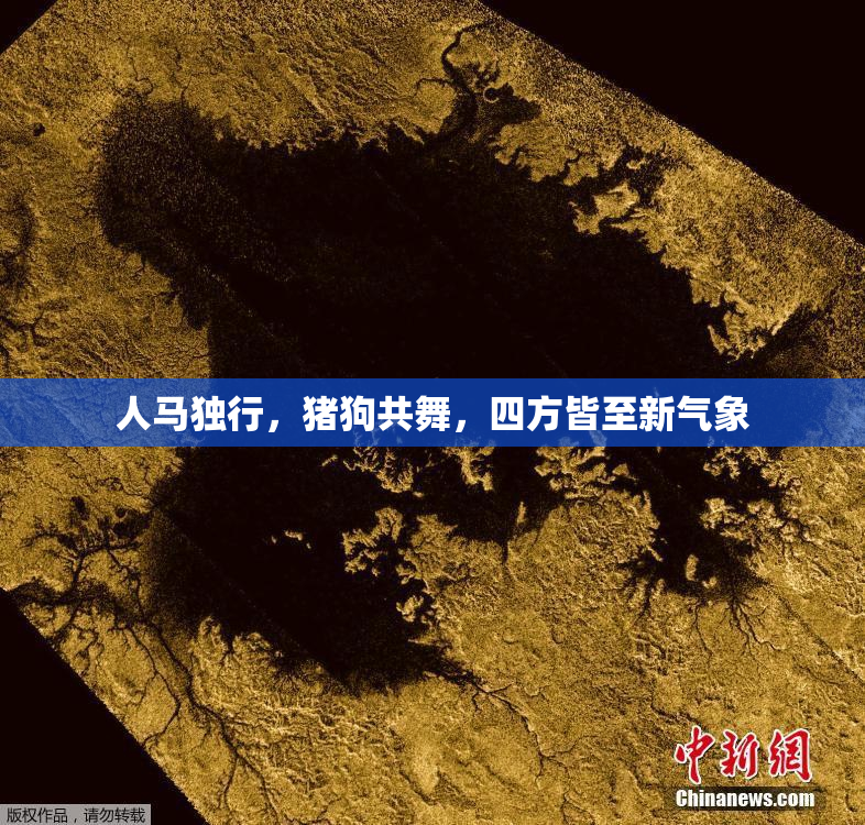 人马独行，猪狗共舞，四方皆至新气象