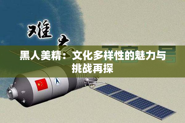 黑人美精：文化多样性的魅力与挑战再探