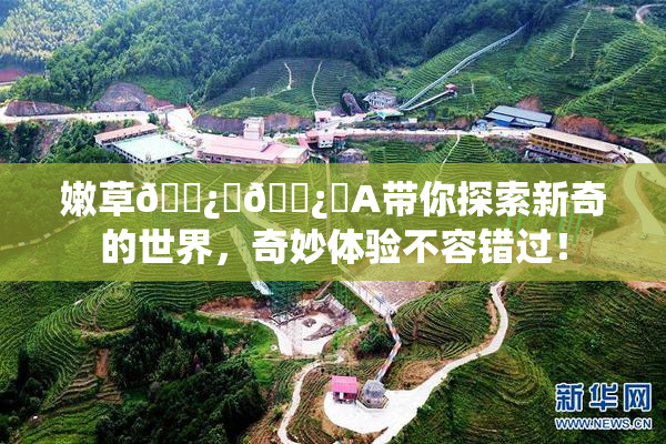 嫩草🌿‌🌿‌A带你探索新奇的世界，奇妙体验不容错过！