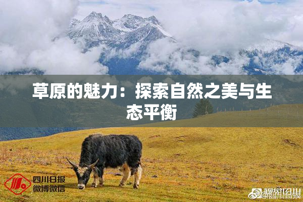 草原的魅力：探索自然之美与生态平衡