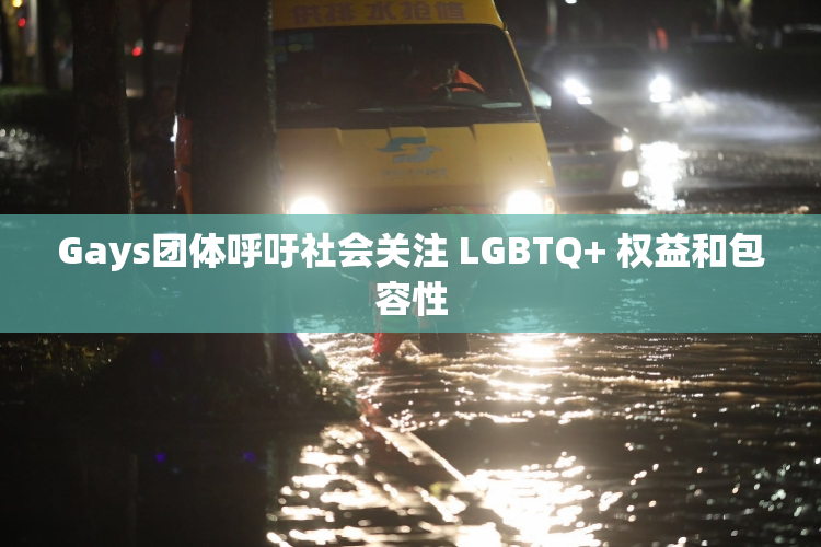 Gays团体呼吁社会关注 LGBTQ+ 权益和包容性