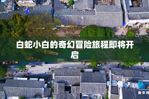 白蛇小白的奇幻冒险旅程即将开启