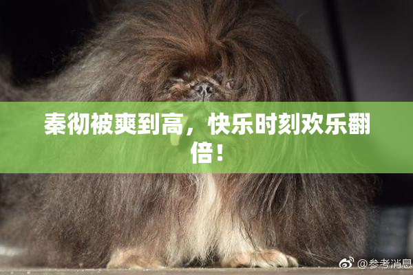 秦彻被爽到高，快乐时刻欢乐翻倍！