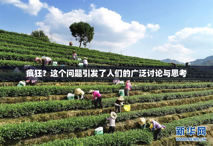 疯狂？这个问题引发了人们的广泛讨论与思考