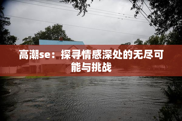 高潮se：探寻情感深处的无尽可能与挑战