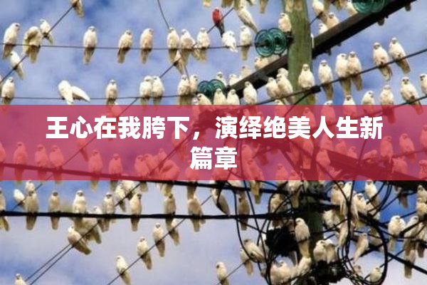 王心在我胯下，演绎绝美人生新篇章