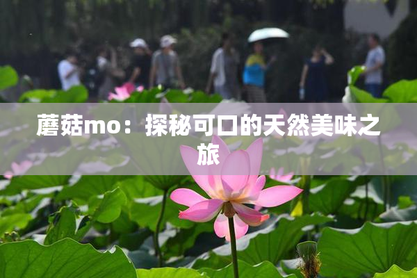 蘑菇mo：探秘可口的天然美味之旅