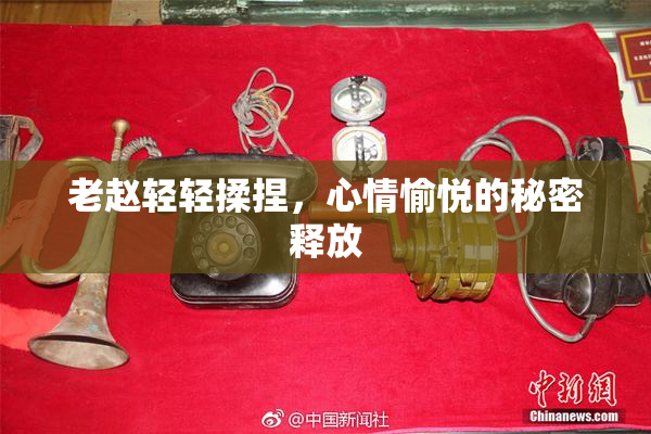 老赵轻轻揉捏，心情愉悦的秘密释放