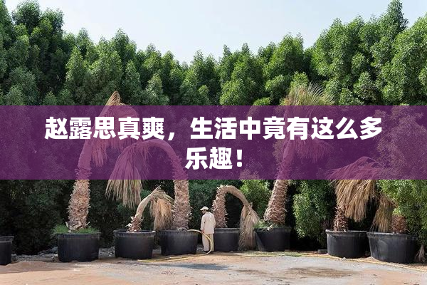 赵露思真爽，生活中竟有这么多乐趣！
