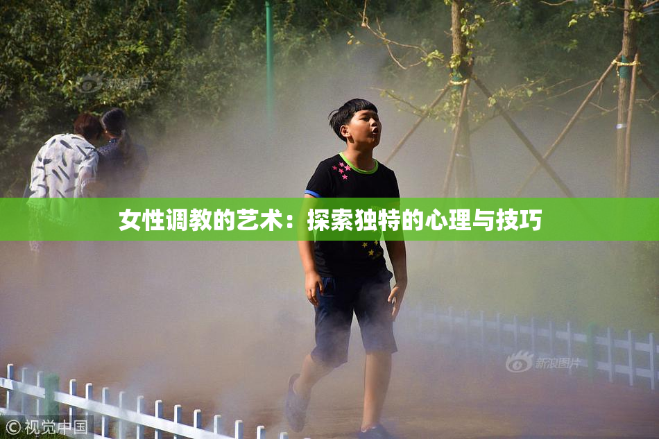 女性调教的艺术：探索独特的心理与技巧