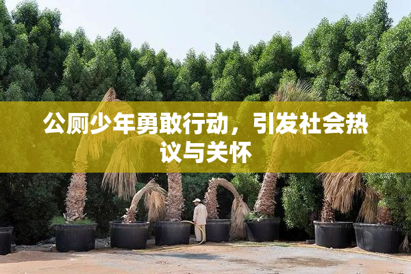 公厕少年勇敢行动，引发社会热议与关怀