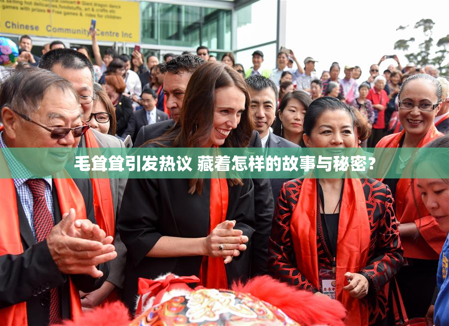 毛耸耸引发热议 藏着怎样的故事与秘密？