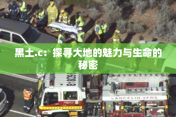 黑土.c：探寻大地的魅力与生命的秘密