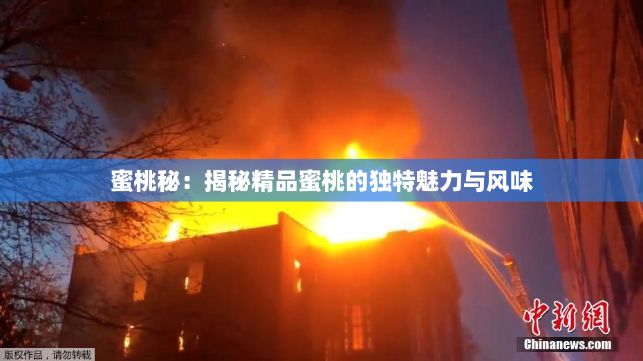蜜桃秘：揭秘精品蜜桃的独特魅力与风味