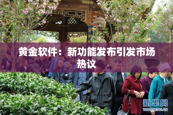 黄金软件：新功能发布引发市场热议
