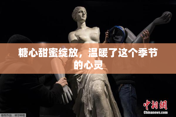 糖心甜蜜绽放，温暖了这个季节的心灵