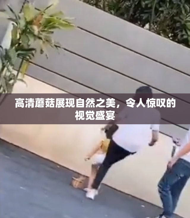 高清蘑菇展现自然之美，令人惊叹的视觉盛宴