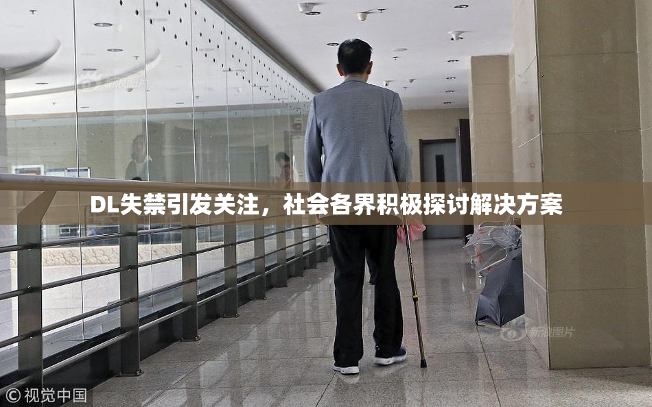 DL失禁引发关注，社会各界积极探讨解决方案