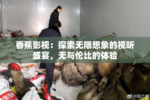 香蕉影视：探索无限想象的视听盛宴，无与伦比的体验
