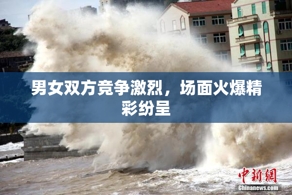 男女双方竞争激烈，场面火爆精彩纷呈