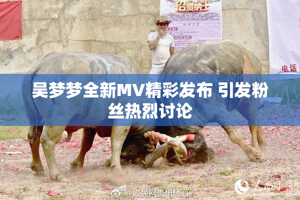 吴梦梦全新MV精彩发布 引发粉丝热烈讨论