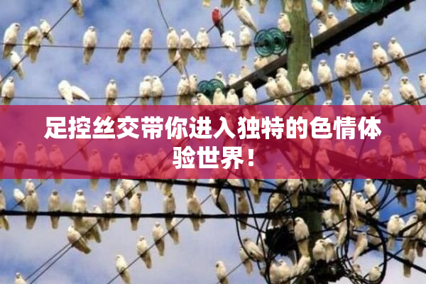 足控丝交带你进入独特的色情体验世界！