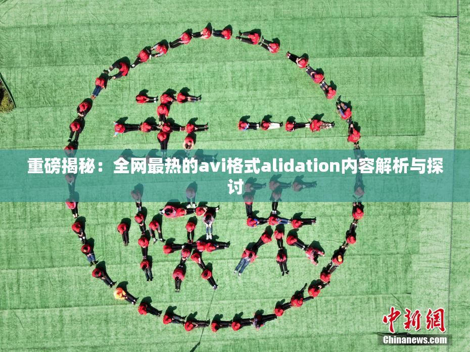 重磅揭秘：全网最热的avi格式alidation内容解析与探讨