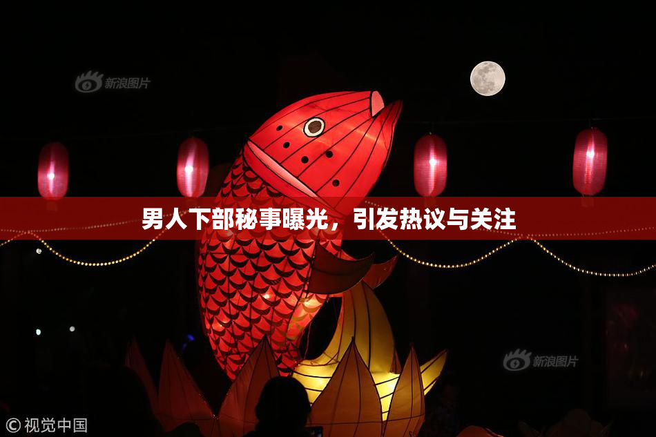 男人下部秘事曝光，引发热议与关注