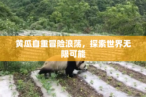 黄瓜自重冒险浪荡，探索世界无限可能