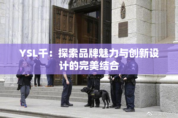 YSL千：探索品牌魅力与创新设计的完美结合
