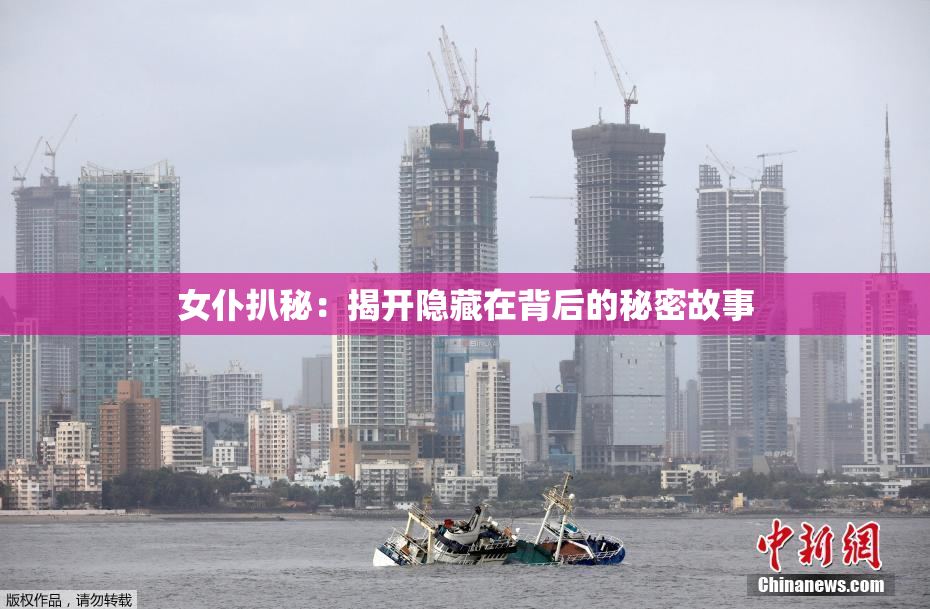 女仆扒秘：揭开隐藏在背后的秘密故事